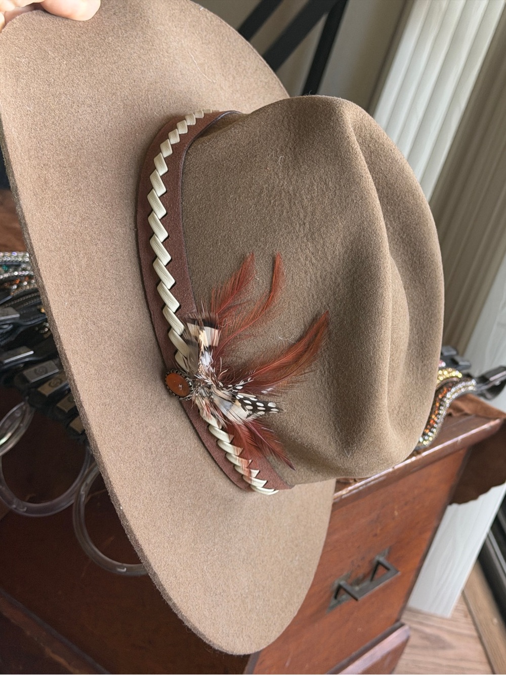 Charlie 1 Horse Lainey Wilson Road Runner hat